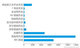 中國企業電子商務IT建設報告 電子商務技術發展與應用